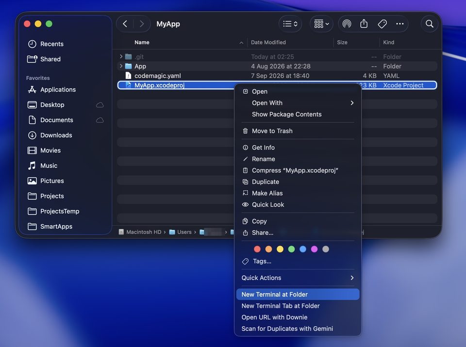 Удаление User Data Xcode перед публикацией — шаг 1